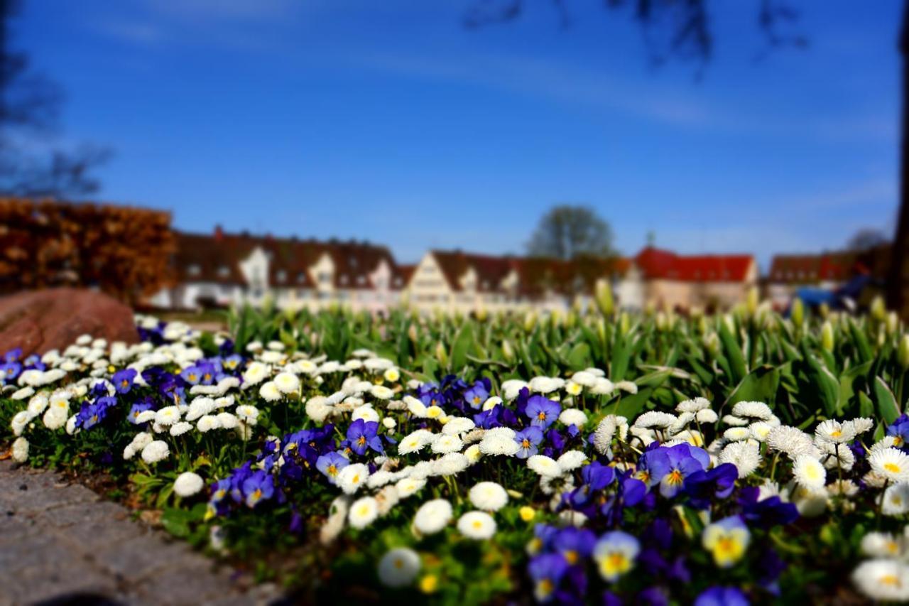 Fewo Schwarzwaldfreude Freudenstadt Exterior foto